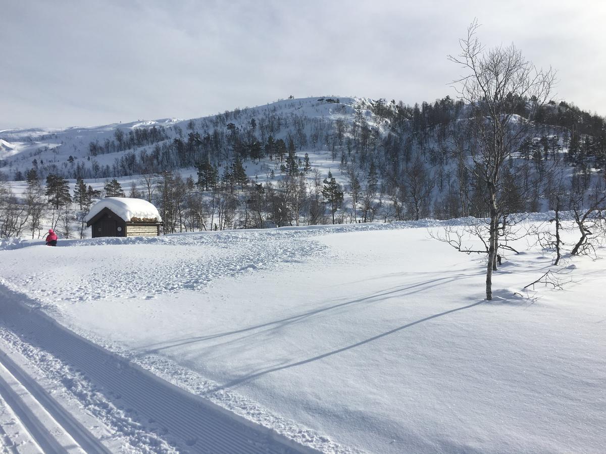 Kvamseter Lodge Eikedalen Exterior foto
